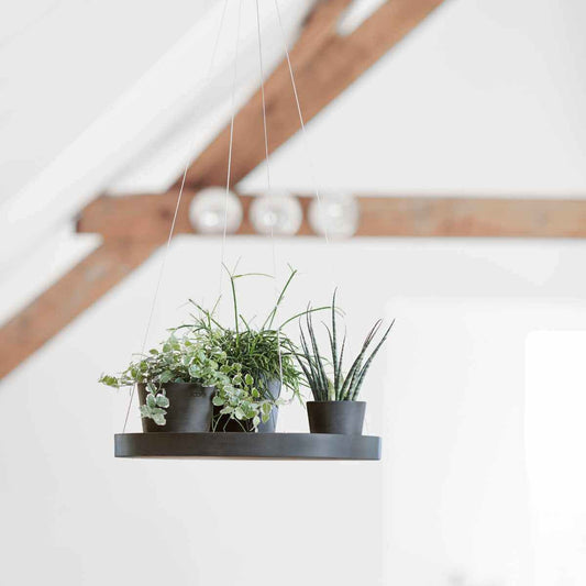 Ecopots hanging saucer